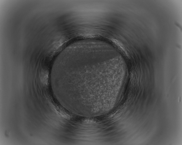 X0000091650596200709131452