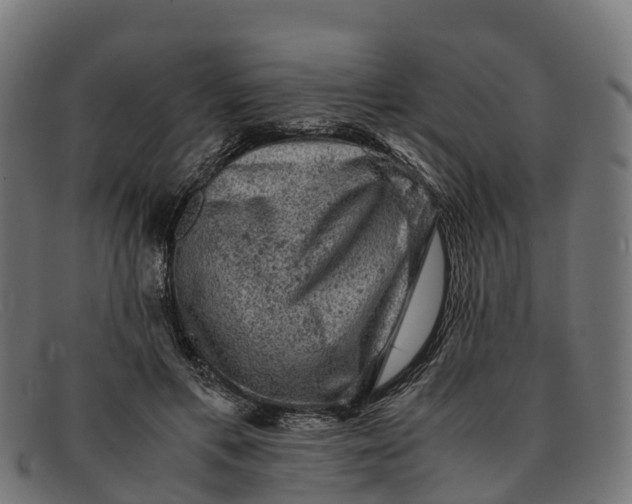 X0000091650597200709131452