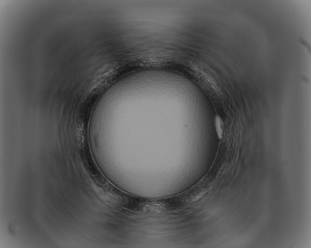 X0000091650599200709131452