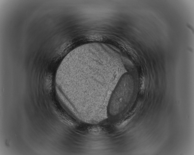 X0000091650600200709131452