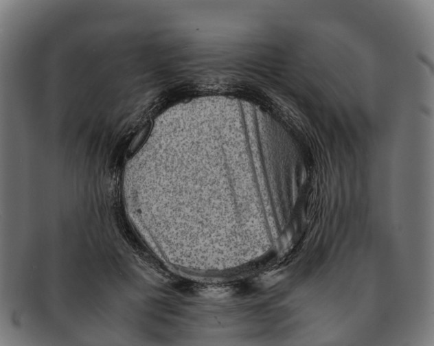 X0000091650601200709131452