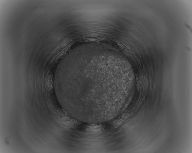 X0000091650606200709131452