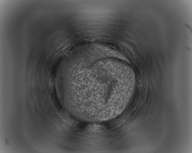 X0000091650607200709131452