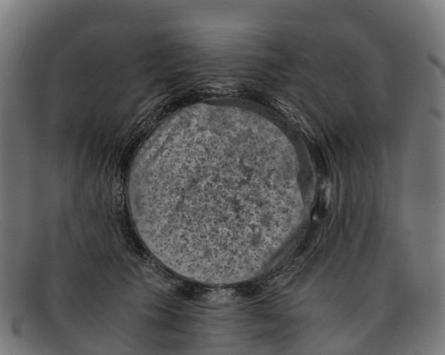 X0000091650609200709131452