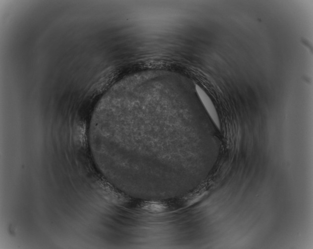 X0000091650610200709131452