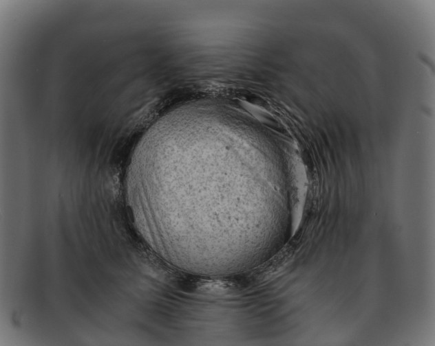 X0000091650611200709131452