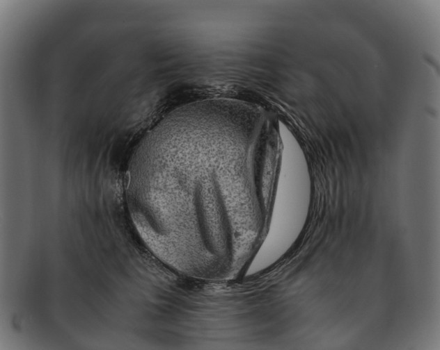 X0000091650613200709131452