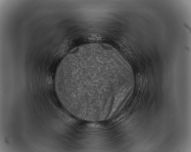 X0000091650614200709131452