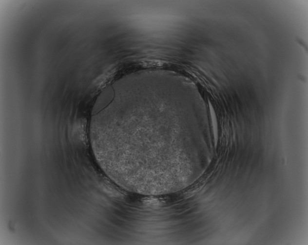 X0000091650616200709131452