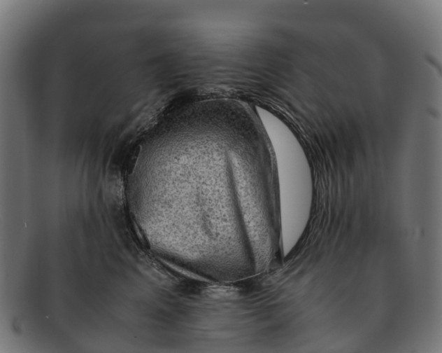 X0000091650617200709131452