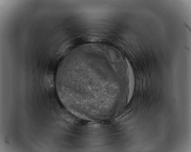 X0000091650620200709131451