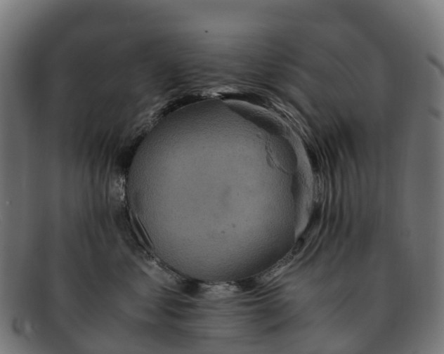 X0000091650621200709131451