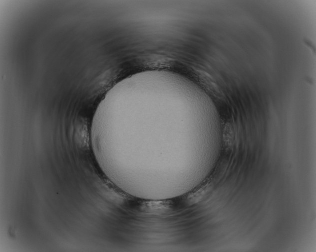 X0000091650622200709131451