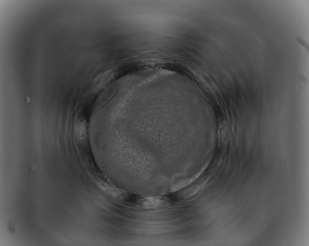 X0000091650623200709131451