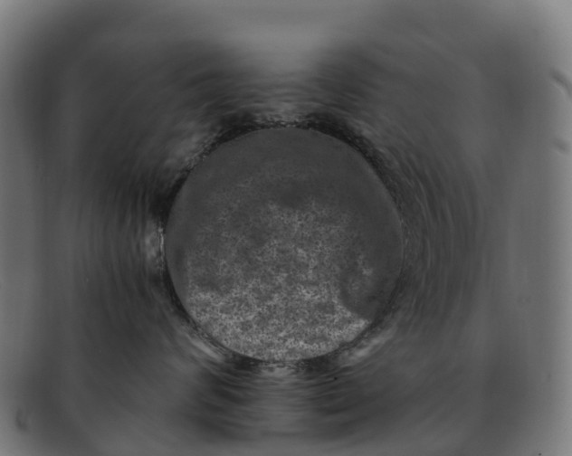 X0000091650624200709131451