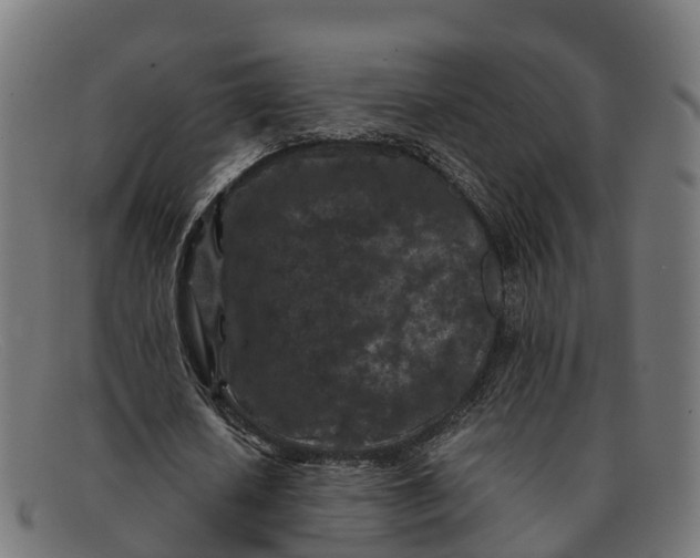 X0000091650626200709131451