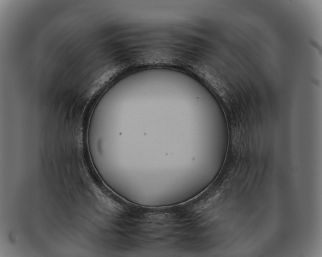 X0000091650629200709131451