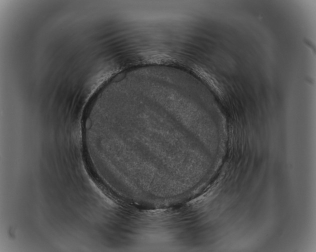 X0000091650630200709131451