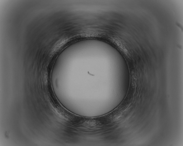 X0000091650631200709131451