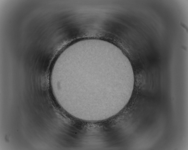 X0000091650632200709131451