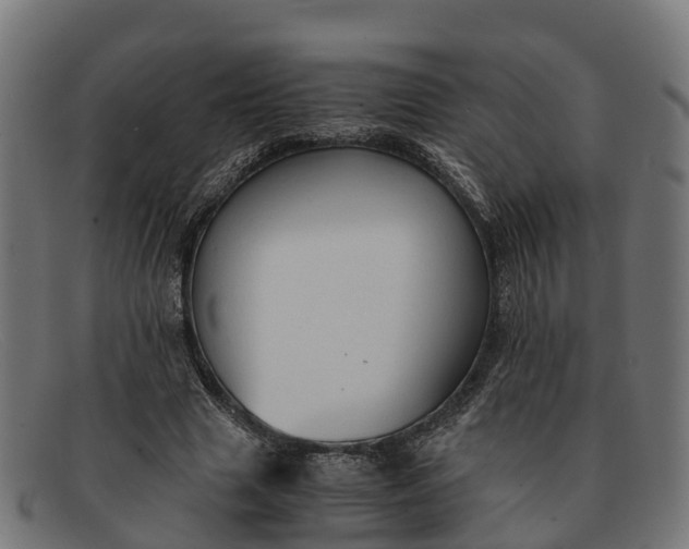 X0000091650633200709131451