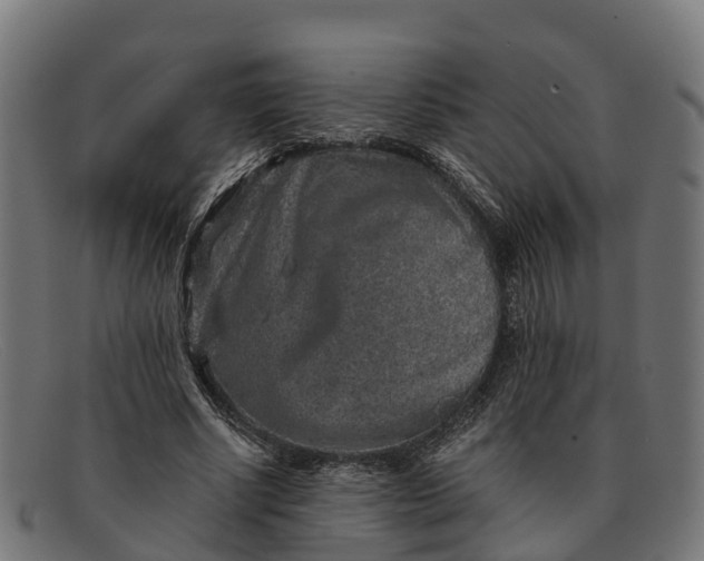 X0000091650634200709131451