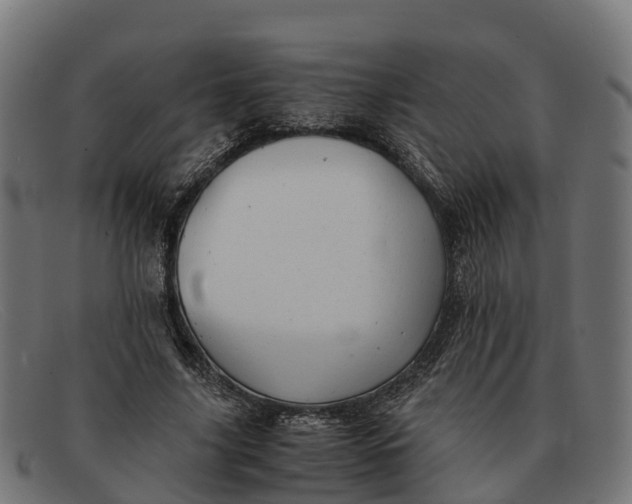 X0000091650635200709131451