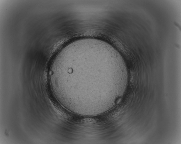 X0000091650636200709131451