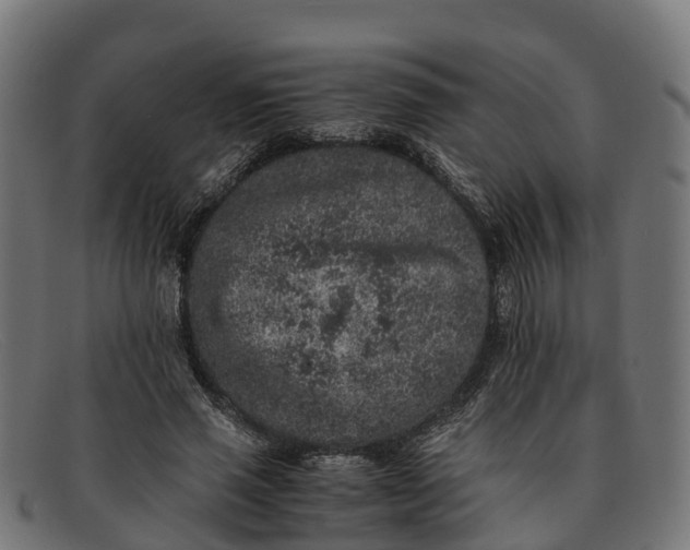 X0000091650637200709131451