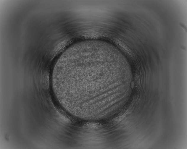 X0000091650638200709131451