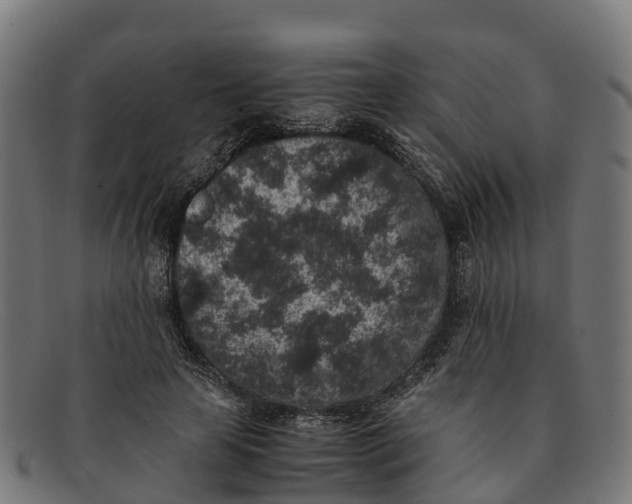 X0000091650641200709131451