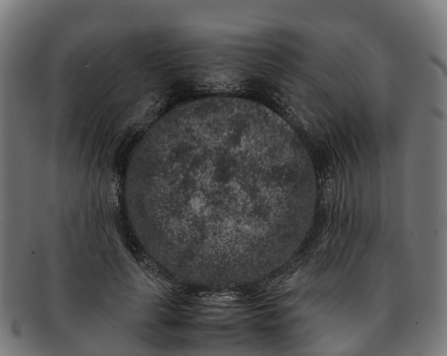 X0000091650643200709131451