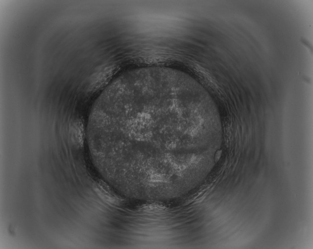 X0000091650644200709131451