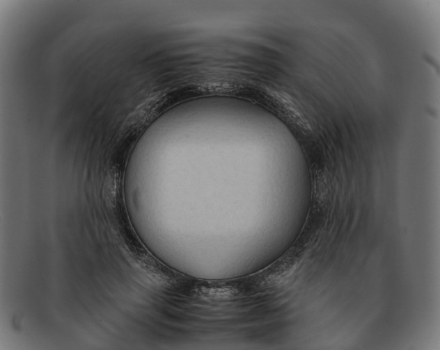 X0000091650645200709131451