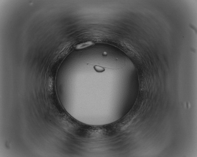 X0000091650646200709131451