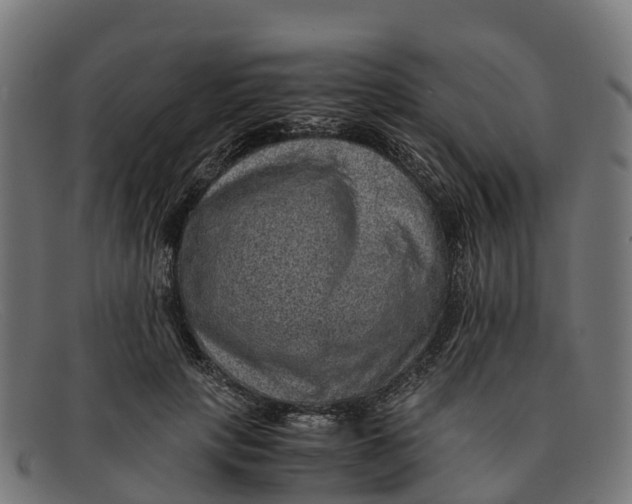 X0000091650649200709131451