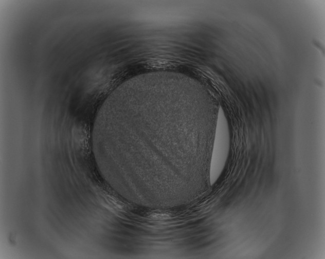 X0000091650653200709131451