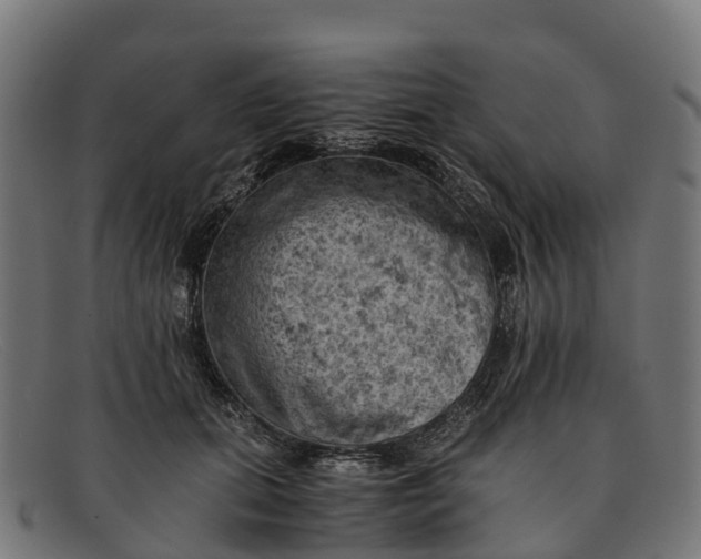 X0000091650655200709131451