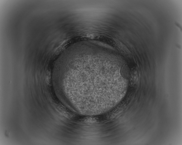 X0000091650656200709131451