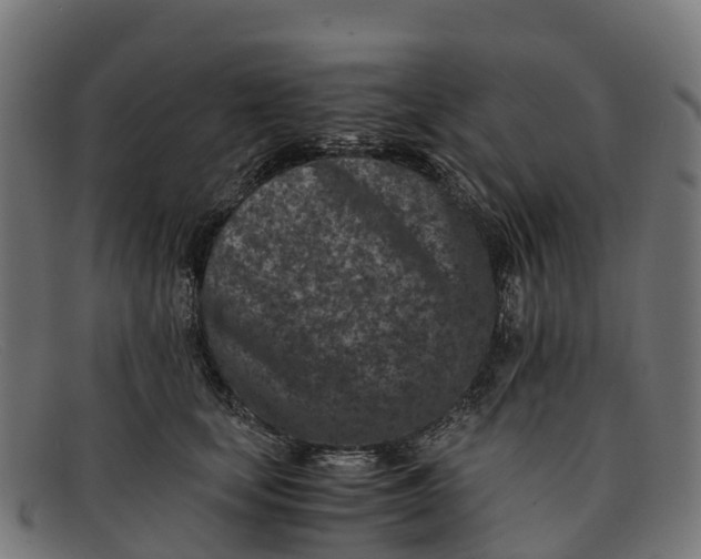 X0000091650659200709131451