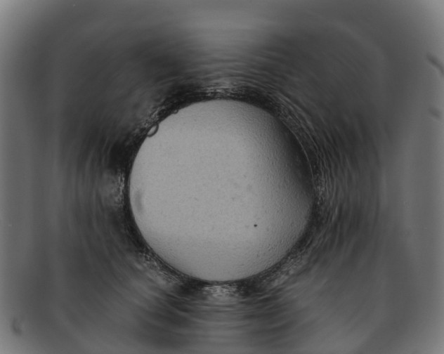 X0000091650660200709131451