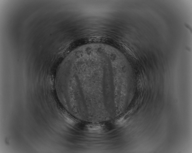 X0000091650661200709131451