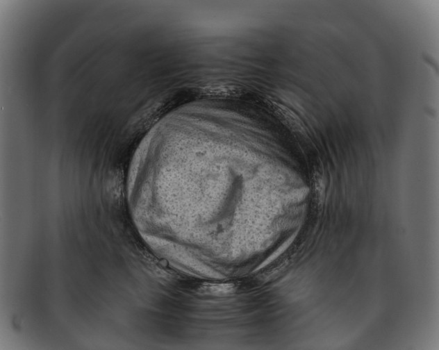 X0000091650665200709131451