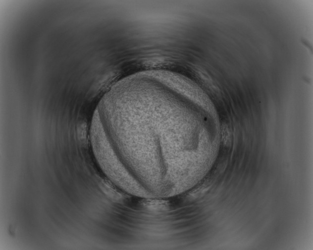 X0000091650670200709131451