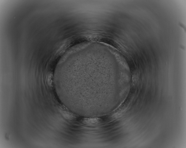 X0000091650671200709131451