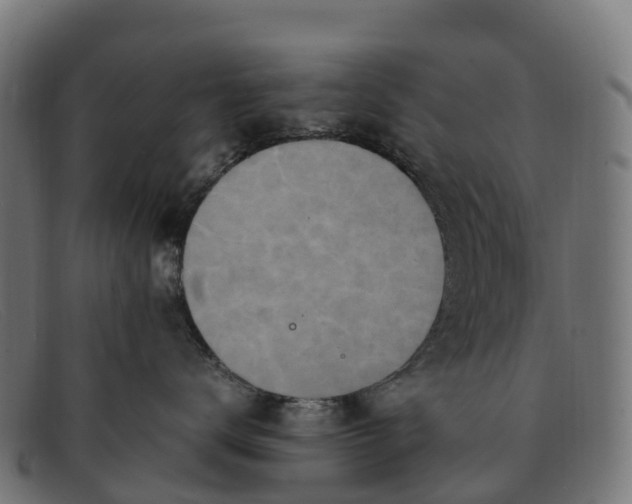 X0000091650672200709131451