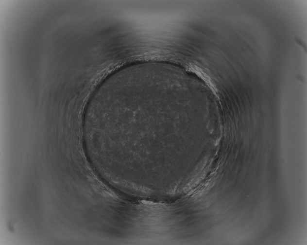 X0000091650673200709131451