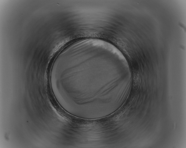 X0000091650674200709131451