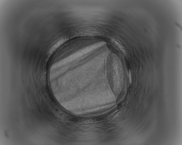 X0000091650675200709131451