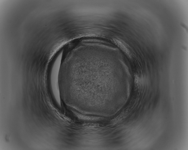 X0000091650676200709131451